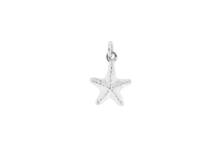 Charm plata 925 estrella de mar