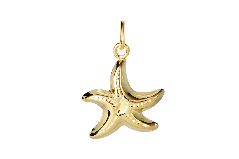 Colgante charm plata 925 estrella de mar