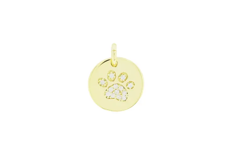 Colgante charm plata 925 huella de perro