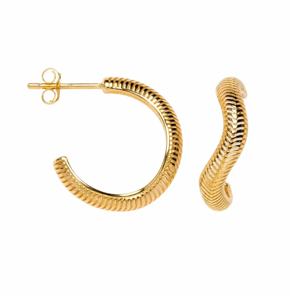 [19191EDO] Sterling silver 3D model earrings