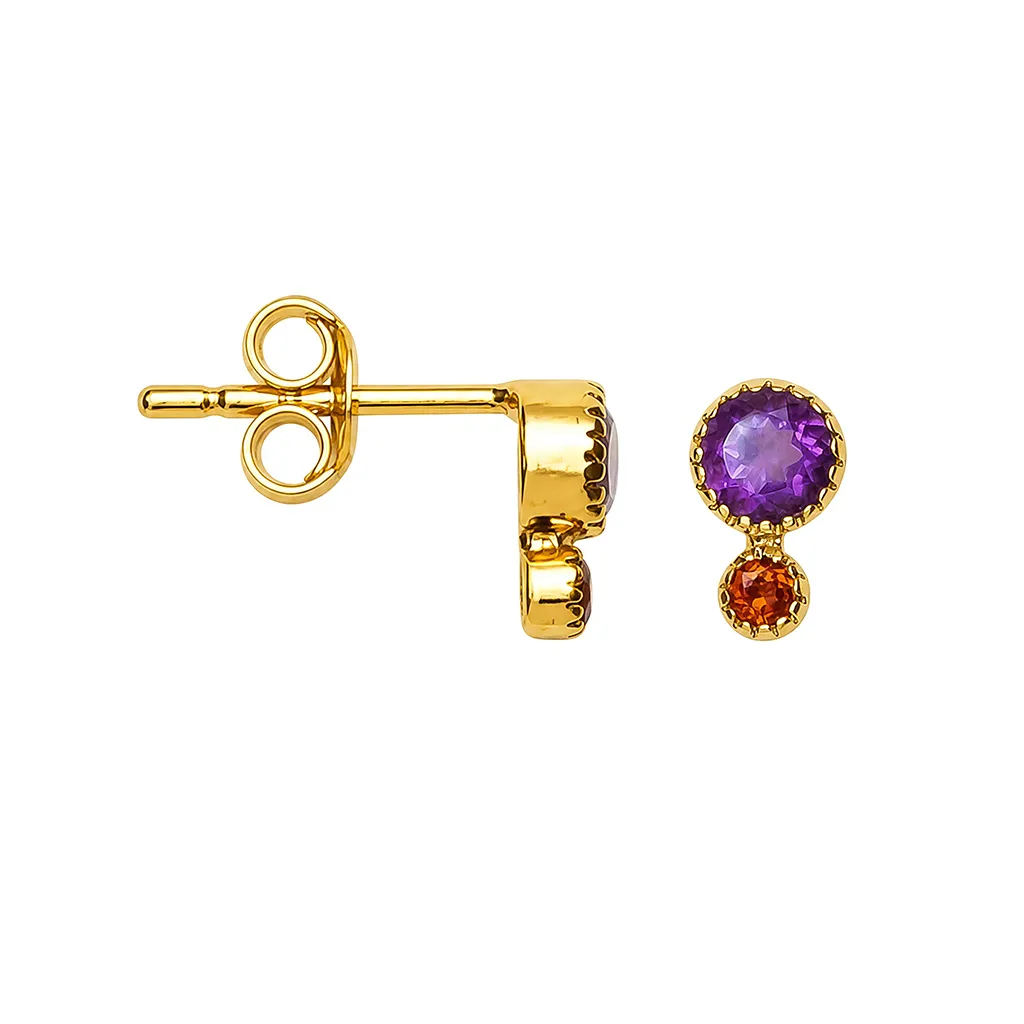 [19575ERAMDO] Sterling silver 2mm and 4mm double round semiprecious stone earring (Amethyst)