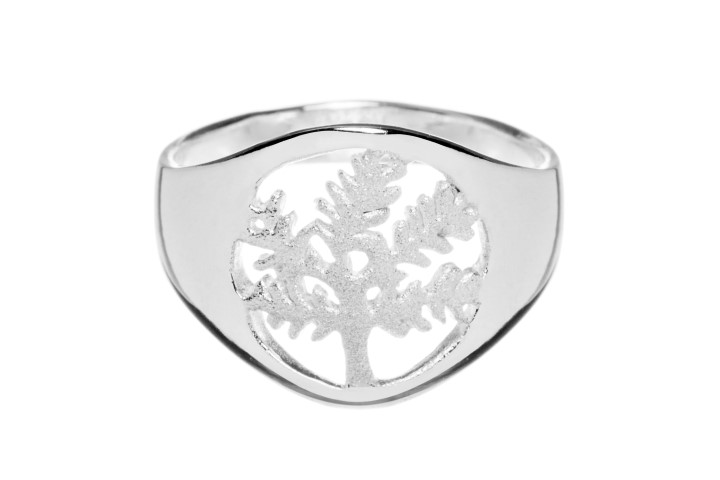 Silver 925 ring