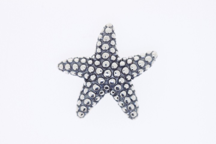 Colgante plata ox/ant. estrella de mar 