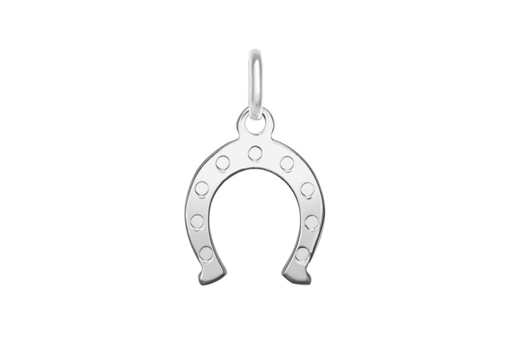 Silver 925 horseshoe pendant