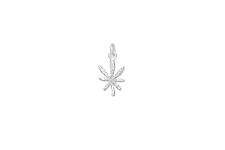 [1065400000PL] Silver 925  charm