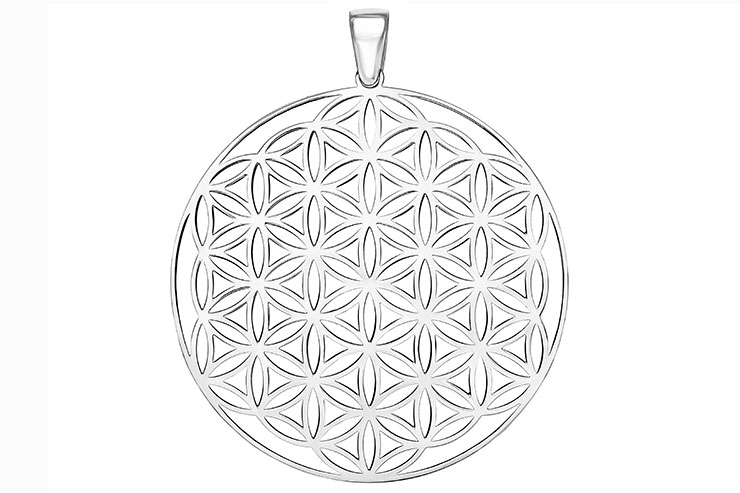 Colgante plata 925 flor de la vida 