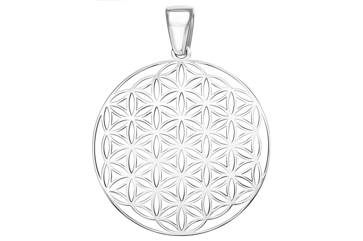 Colgante plata 925 flor de la vida 