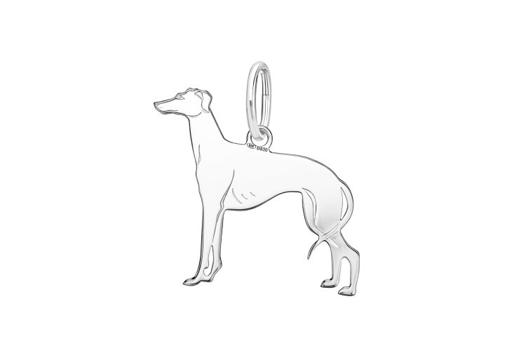 Colgante plata 925 galgo