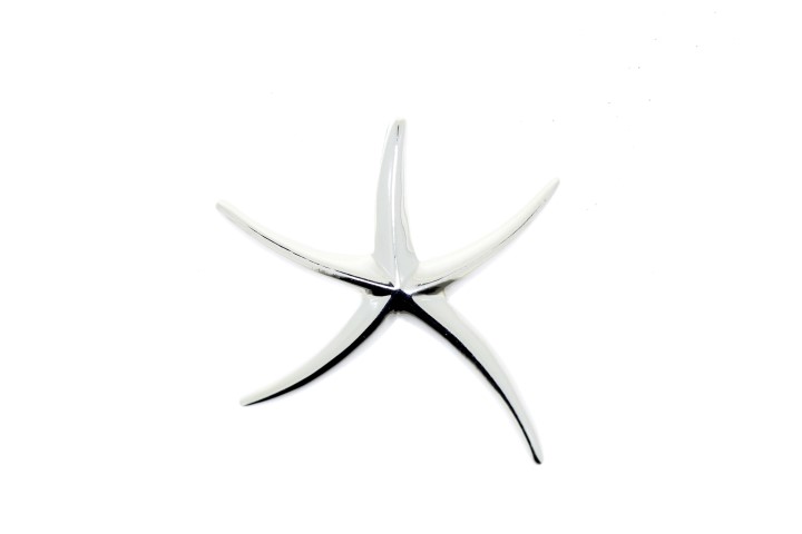 Silver 925 pendant starfish