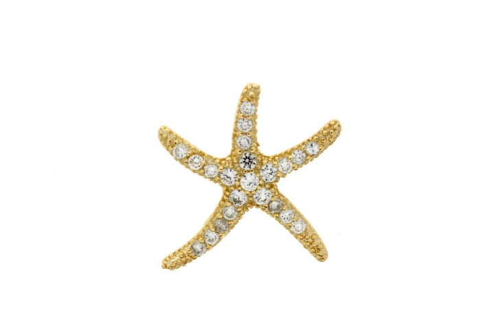 Colgante plata 925 zirconita estrella de mar