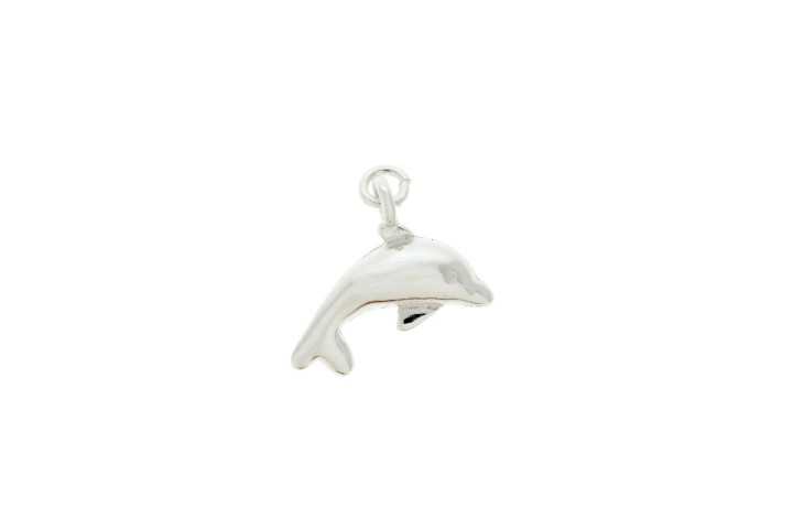 Silver 925 dolphin charm