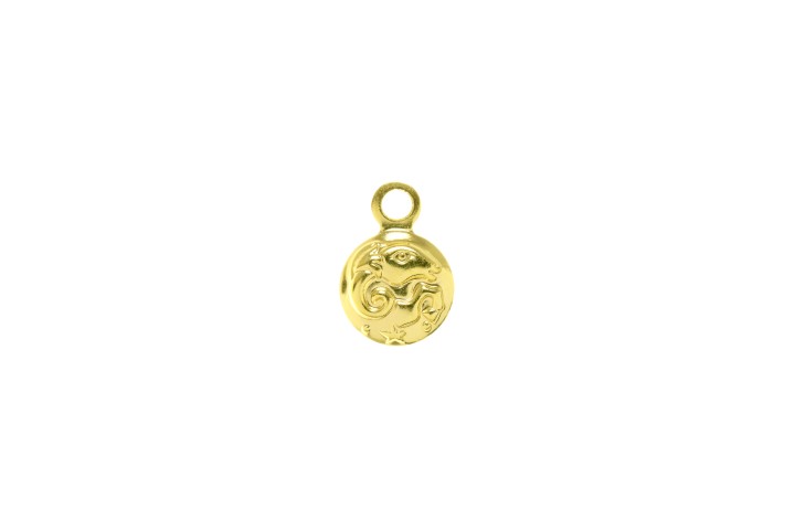 Colgante charm plata 925 horoscopo 