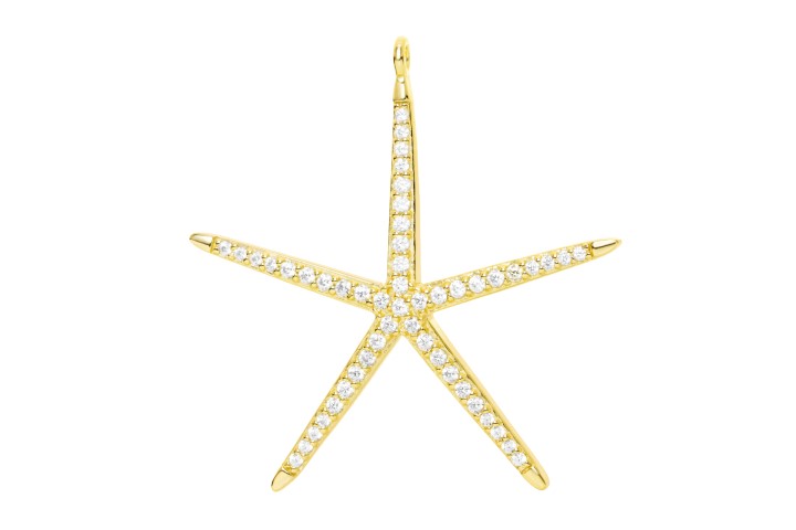 [100710002ZBL] Silver 925 earring cz (White, Gold plated)