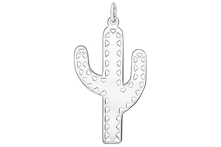 Colgante charm plata 925 cactus 