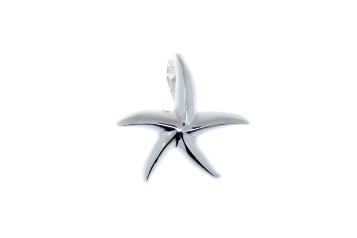 Colgante plata 925 estrella de mar