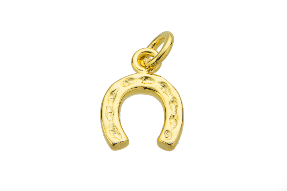 Colgante charm plata 925 herradura 