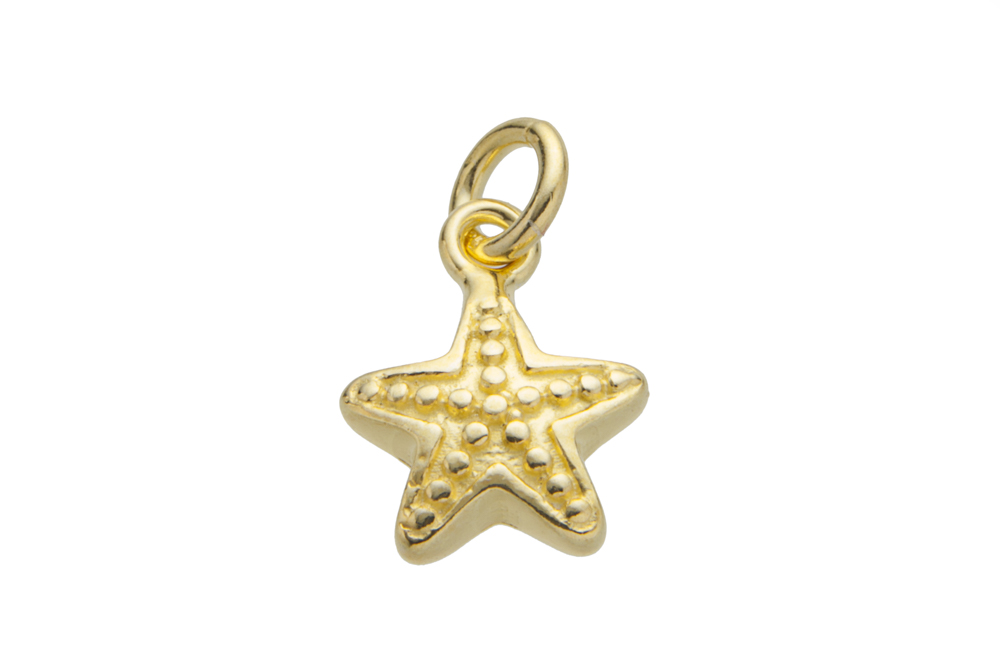 Pendant charm silver 925