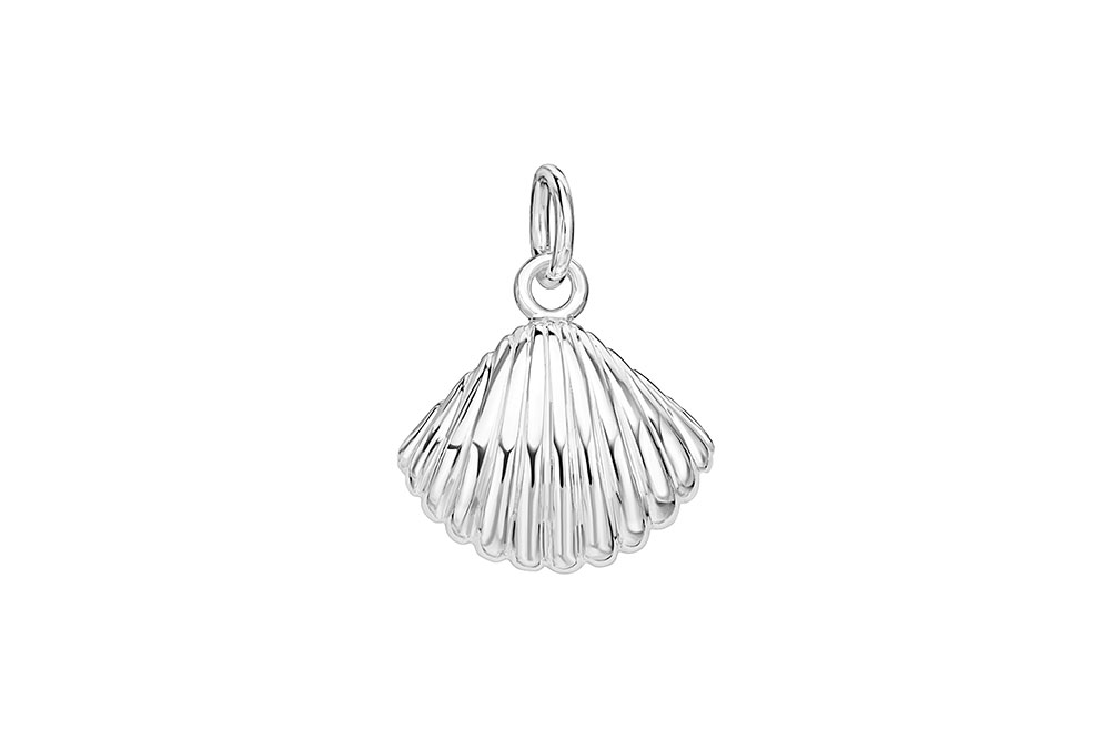 Silver 925 pendant
