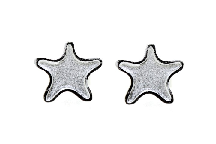 Silver 925 earring star