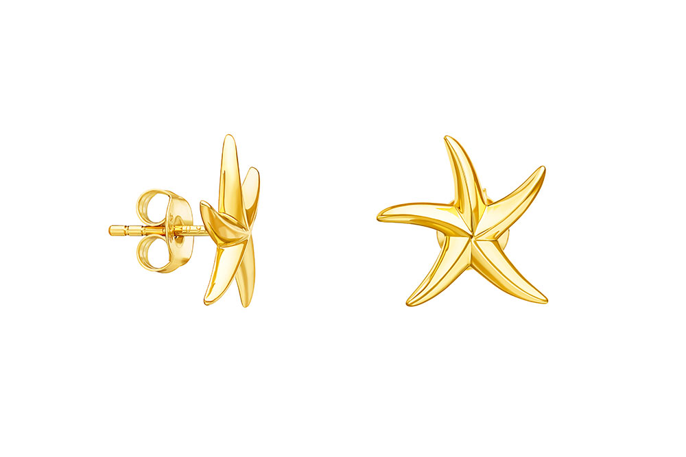 Silver 925 earring starfish