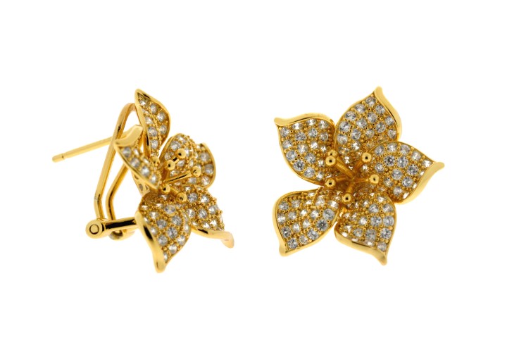 Silver 925 earring cz