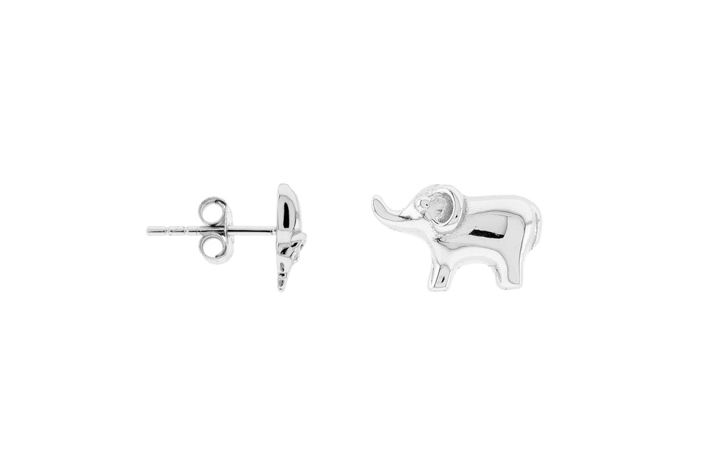 [1104300000PL] Silver 925 earring (Sterling silver)