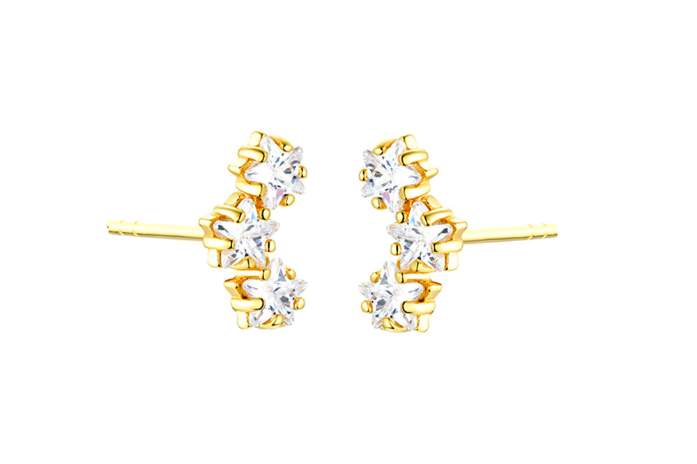 [14951E000000BLDO] Sterling silver zirconia earring (Gold plated)
