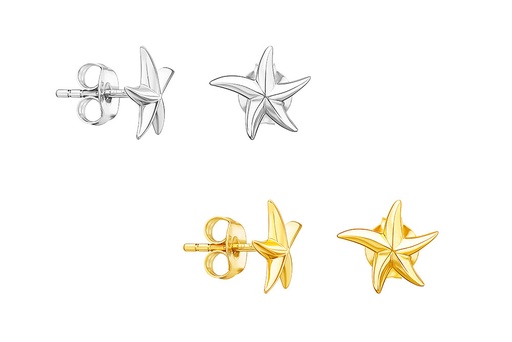 Silver 925 earring starfish