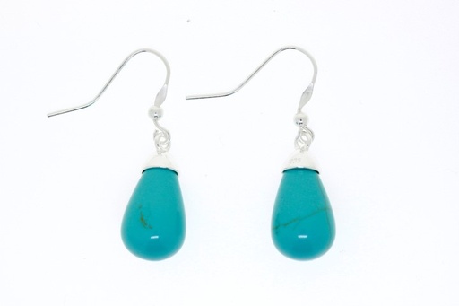 [059240000GTU] Earring silver 925