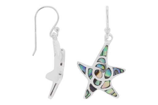 [101210000RAB] Silver 925 earring