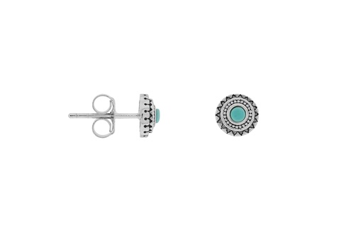[119290006GTU] Silver 925 earring