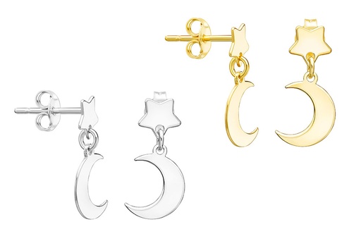 [1223600000DO] Silver 925 moon & star earring