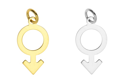 [1286200000PL] Colgante charm plata 925 signo masculino 