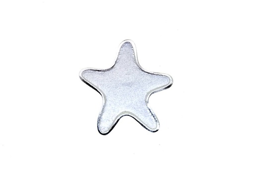 [06698000MAPL] Silver 925 pendant star