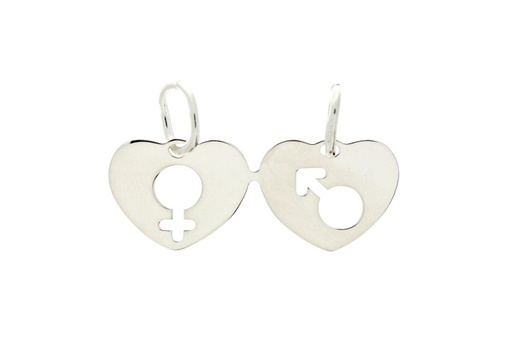[0856100000PL] Silver 925 two in love pendant