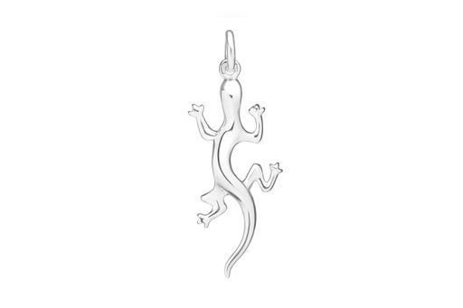 [1086700000PL] Silver 925 pendant