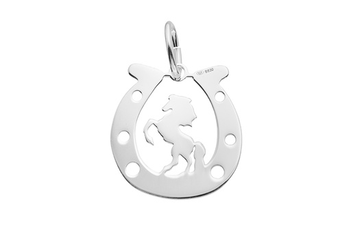[1232800000PL] Silver 925 pendant