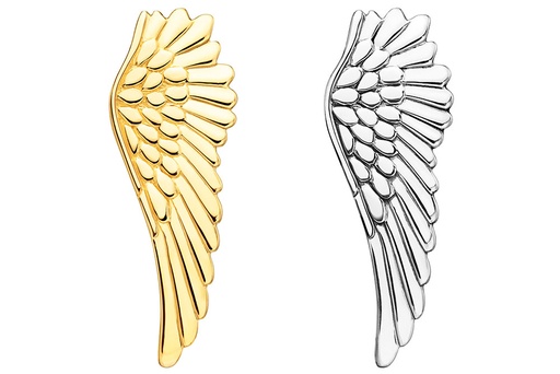 Colgante plata 925 ala