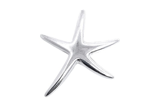 [16914PPL] Colgante plata 925 estrella de mar 22x19mm